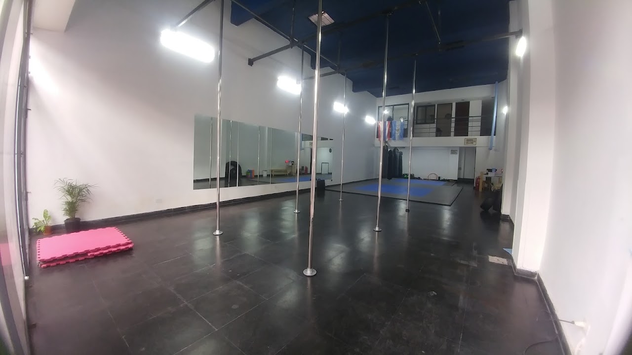Instalaciones de Anrod Entrenamiento en Flores con barras de pole dance, tatami y bolsas de boxeo