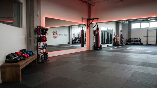Tatami y zona de artes marciales y boxeo en Anrod